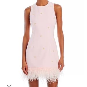 Elegant Pink Feather Hem Dress